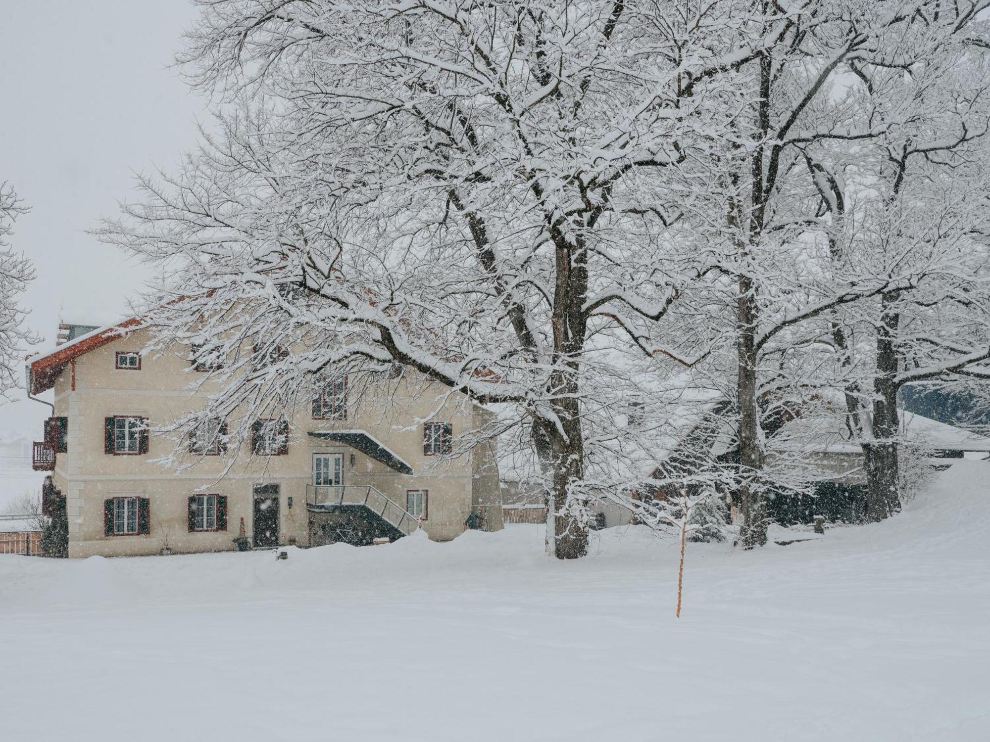 ブルーニコ Niedermairhof Bed & Breakfast エクステリア 写真